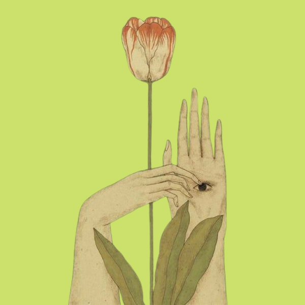 test33