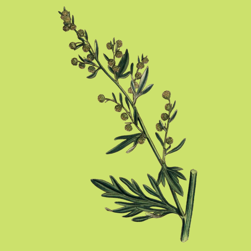 test55