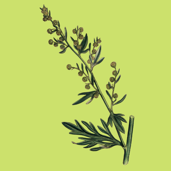 test55
